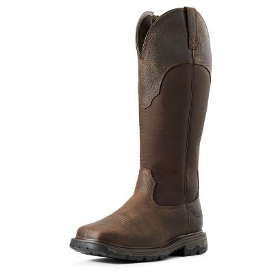 Ariat Outdoor: Conquest Snakeboot Waterproof Hunting Zapatillas Outdoor Hombre - Marrones Oscuro (EW